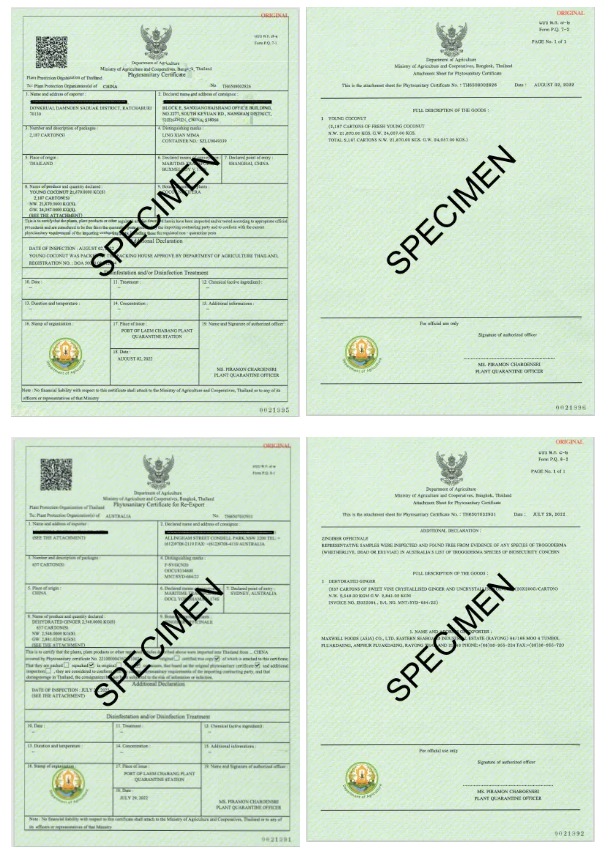 ����̩���ܲ�ֲ�����֤��