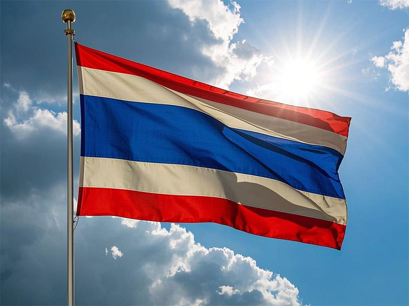 ̩�������Ҫʲô����