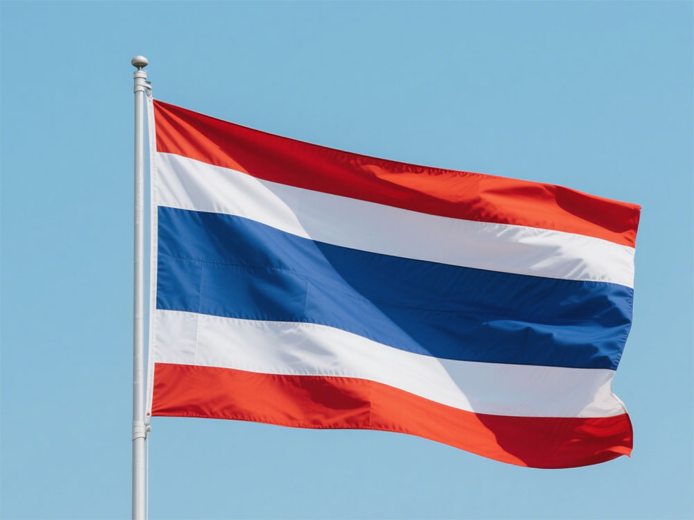 ����̩����Ҫʲô��֤